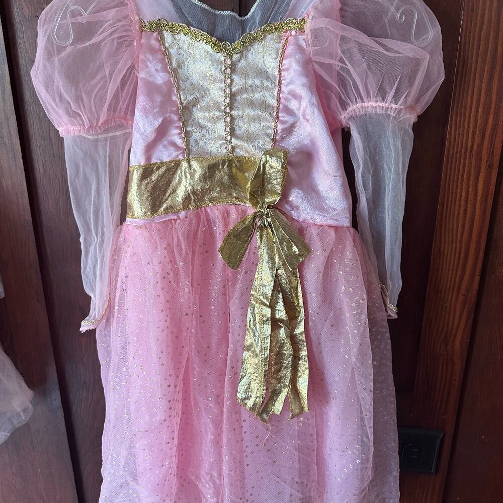 Princess costume